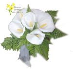 Pureza en calas (105), imagen-3